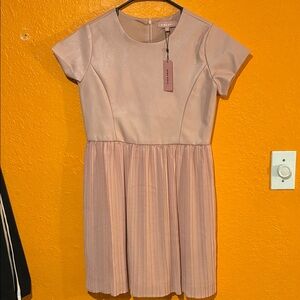 BCBGirls Dusty Blush Pink Shimmery Pleated Formal Dress